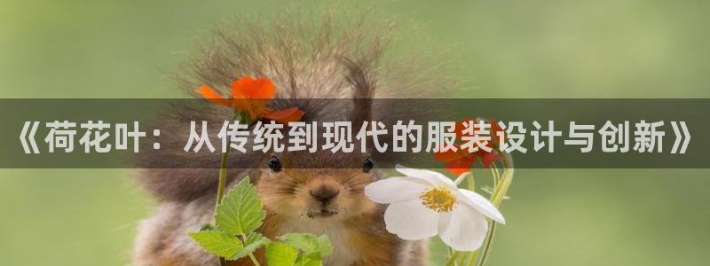 天辰娱乐老板
