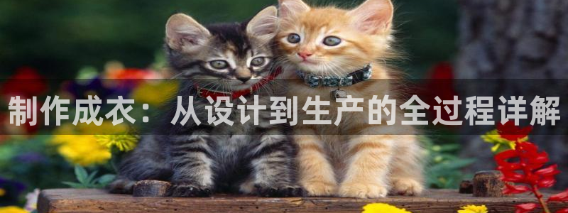 天辰娱乐说