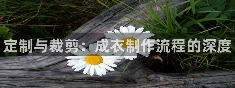 天辰娱乐测试