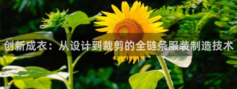 天辰娱乐小妹