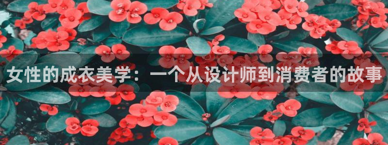 天辰娱乐所