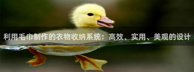 天辰娱乐跑的快