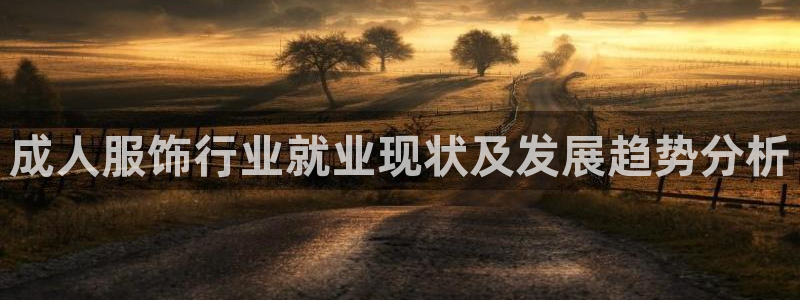天辰娱乐游客