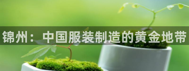 天辰娱乐老板