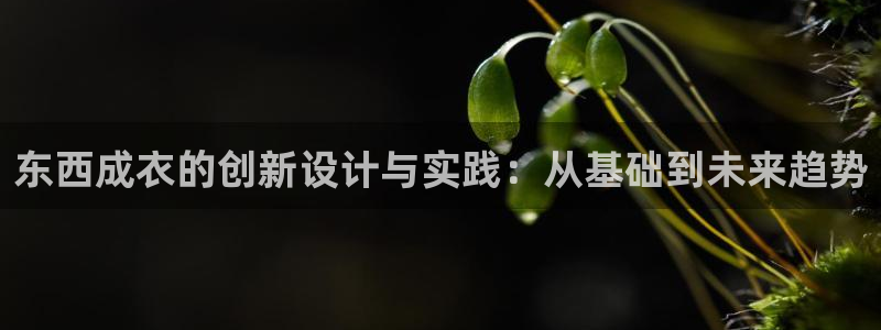 天辰娱乐地址