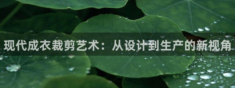 南充天辰娱乐