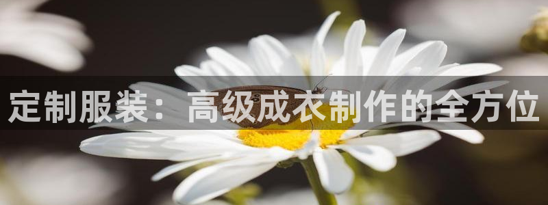 天辰臣娱乐