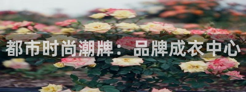 天辰娱乐天辰宝