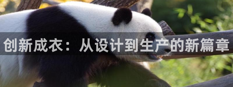 天辰娱乐平台app下载