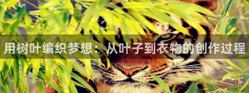 天辰娱乐 849852