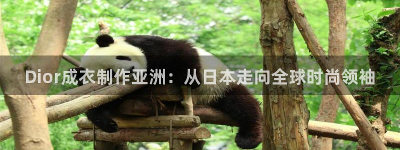 天辰娱乐 44516