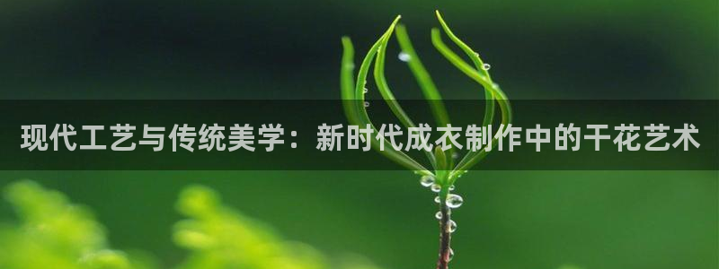 手机上怎么下载天辰娱乐