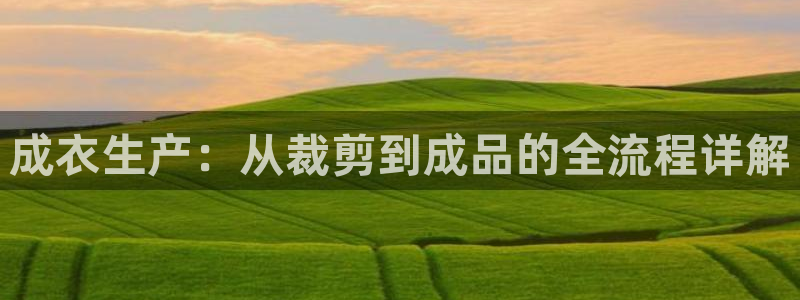 天辰娱乐总管