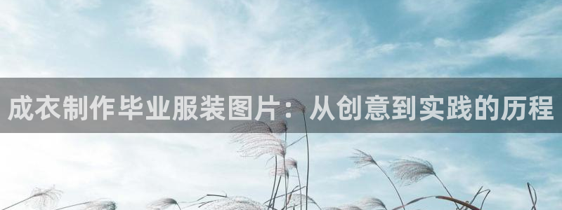 天辰平台娱乐