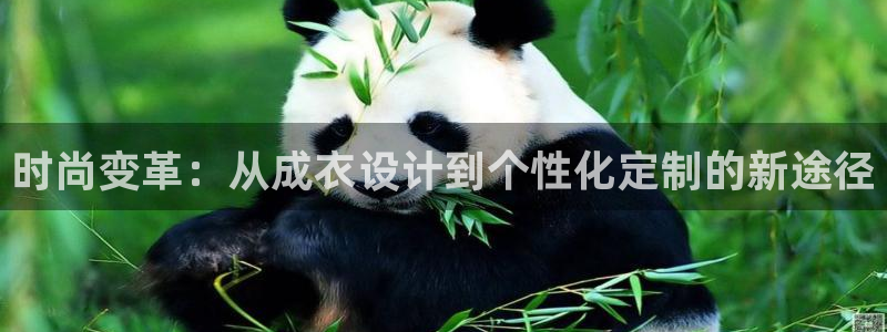 大同天辰娱乐