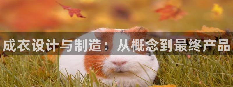 天辰2娱乐
