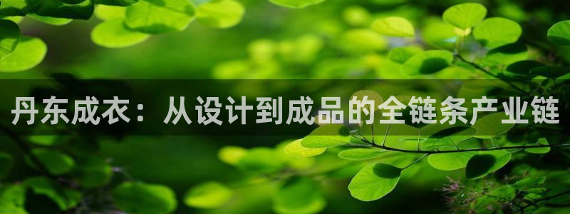 天辰娱乐总管年薪