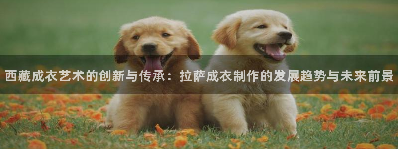 天辰娱乐好吗