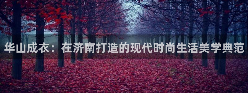 天辰娱乐登录网址