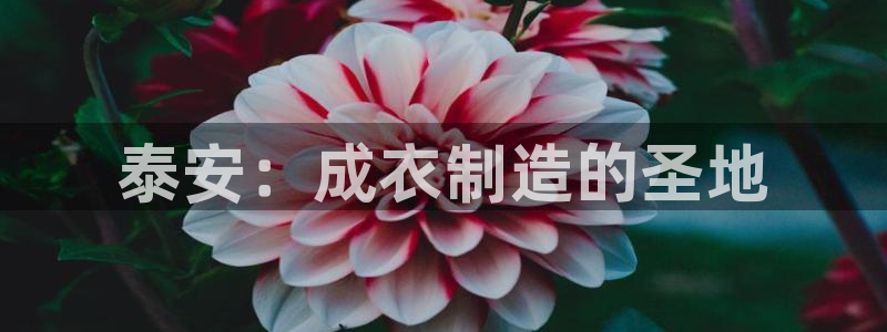 天辰娱乐集团