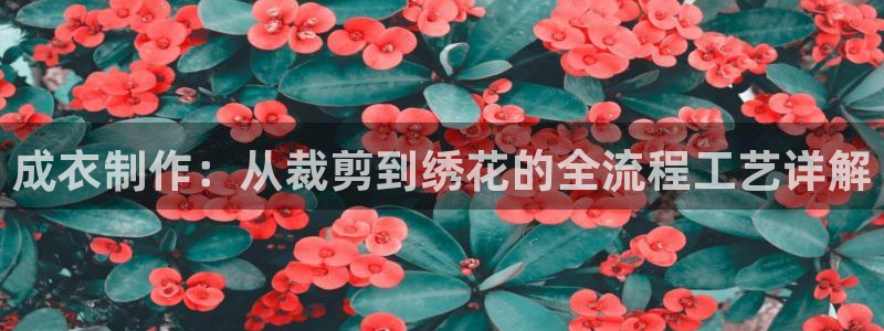 天辰娱乐白屏