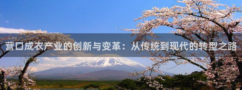 天辰娱乐主管