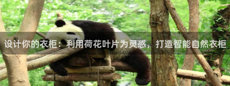 天辰 娱乐 注册