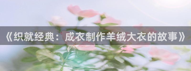 天辰臣娱乐
