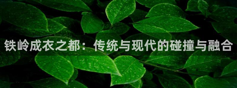 天辰宝娱乐