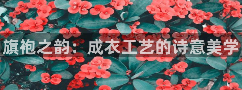 南京天辰娱乐