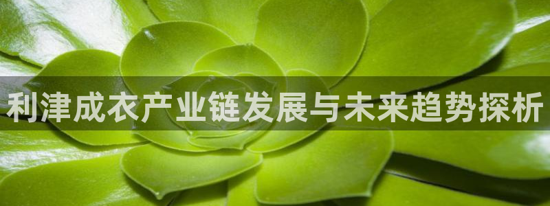天辰娱乐好吗