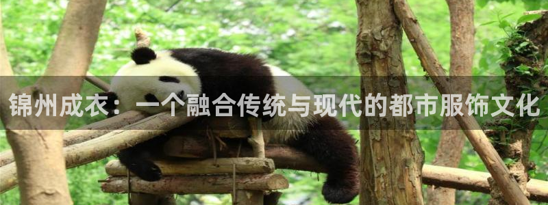 天辰娱乐视频