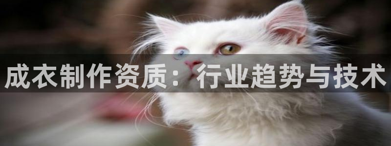 天辰彩票娱乐