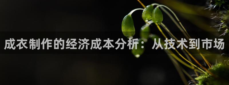 nba天辰娱乐