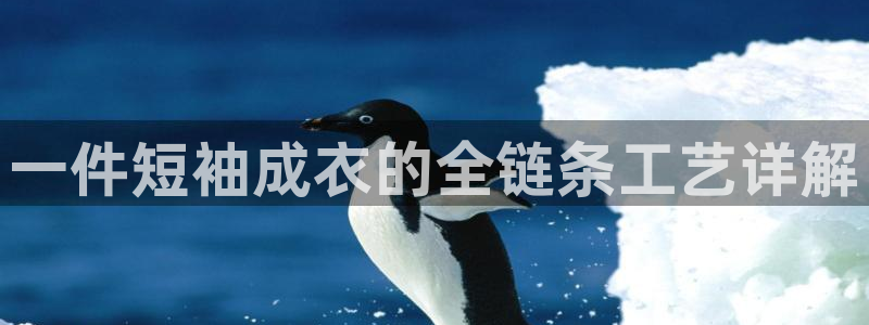 天辰娱乐44516