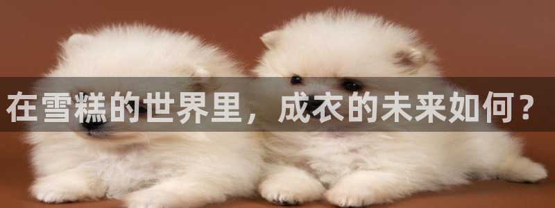 大同天辰娱乐
