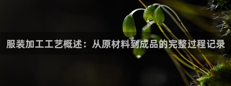 天辰娱乐软件