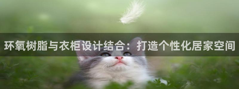 天辰娱乐小妹