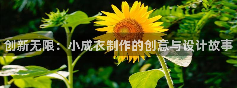 天辰娱乐首页