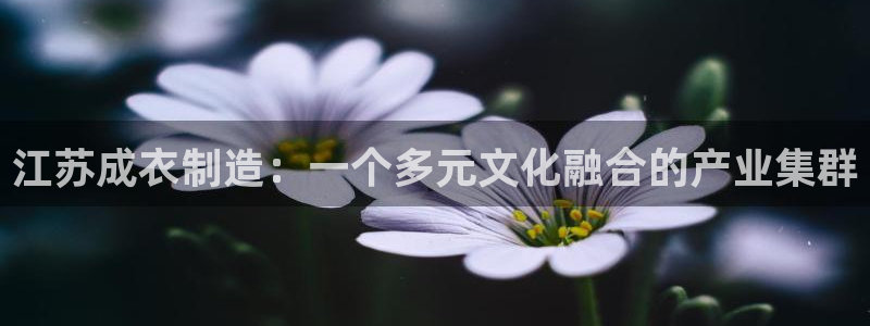 天辰天富娱乐
