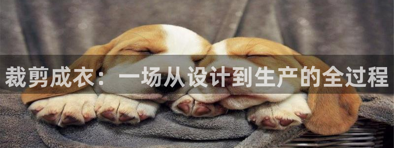 南充天辰娱乐