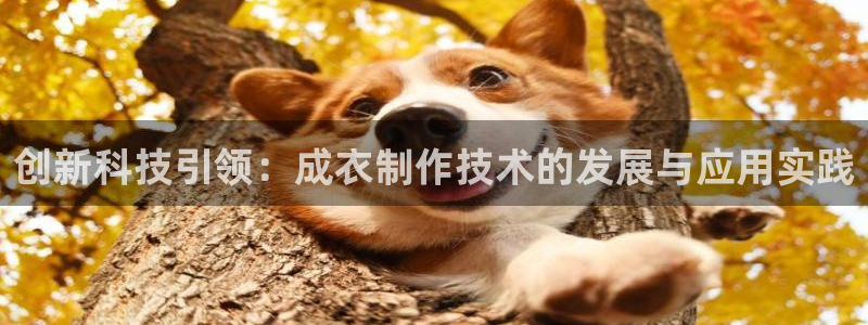 天辰娱乐集团