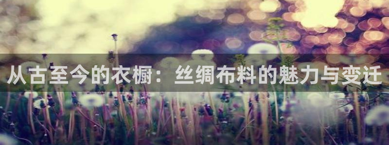 天辰娱乐在哪