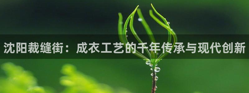 天辰娱乐ttf