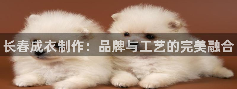 天辰娱乐地址