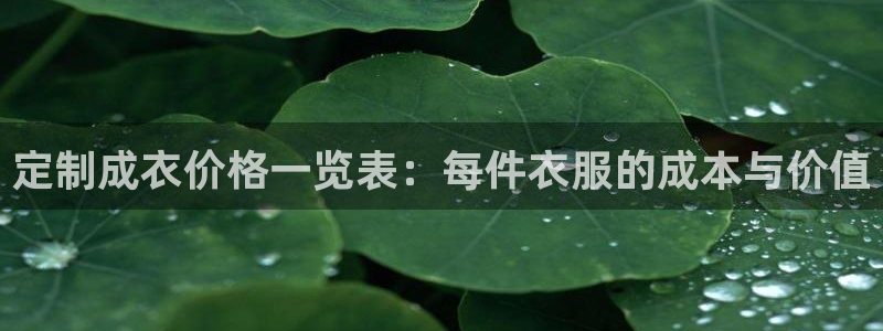 天辰宝宝娱乐