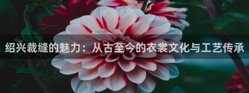 天辰娱乐登陆平台