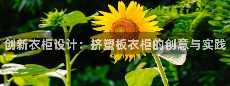 天辰娱乐44616