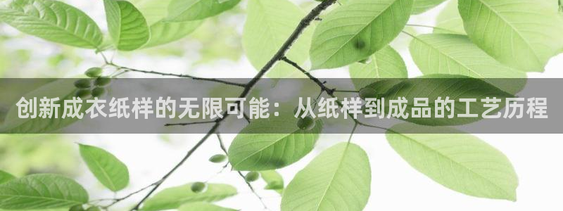 天辰娱乐_675138