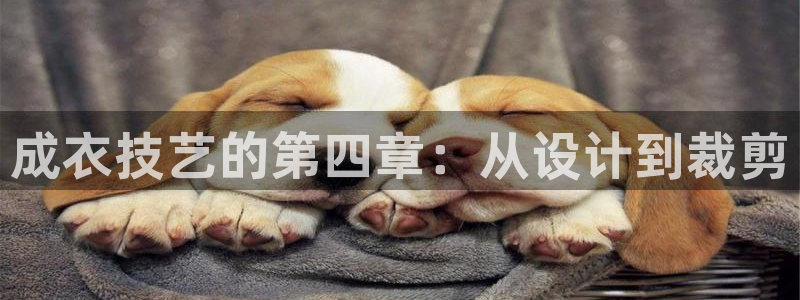 天辰团队贝高娱乐